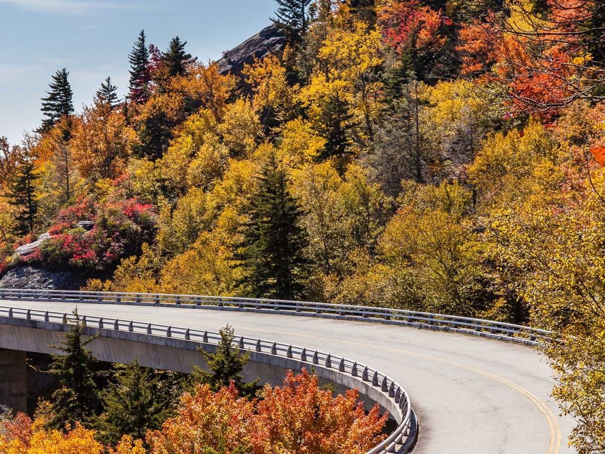 Outdoor Adventures & Scenic Trails